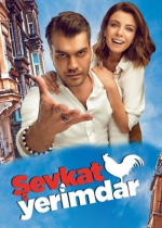 Şevkat Yerimdar 2017 poster