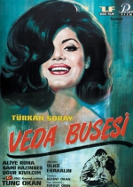 Veda Busesi poster