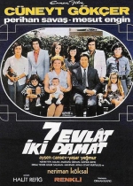 Yedi Evlat İki Damat poster